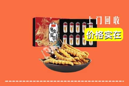 南京栖霞区回收冬虫夏草