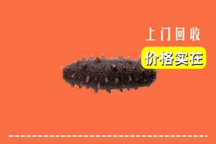 诚信求购:南京栖霞区高价回收海参