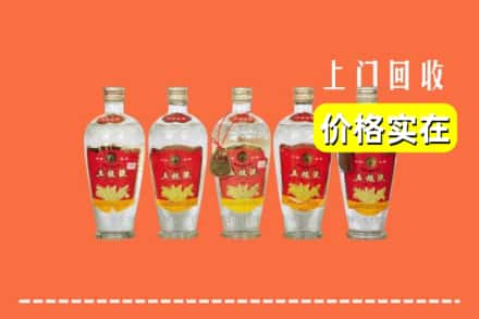 南京栖霞区回收老五粮液